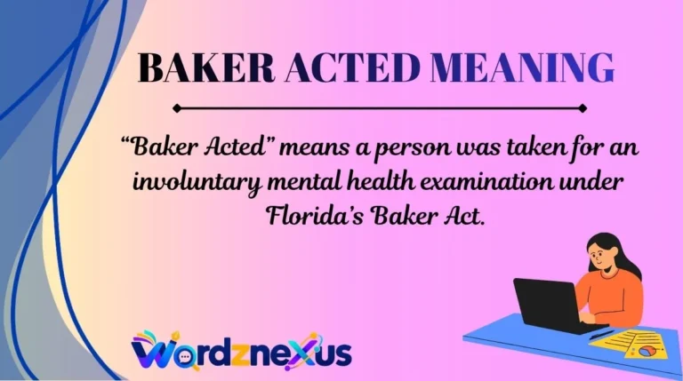 Baker Acted Meaning