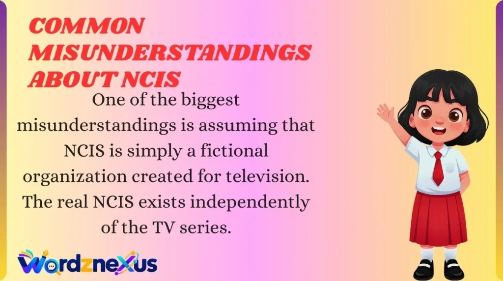 Common Misunderstandings About NCIS