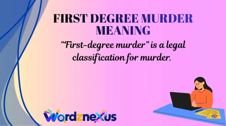 First Degree Murder Meaning