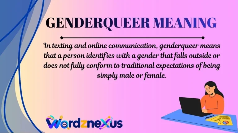 Genderqueer Meaning