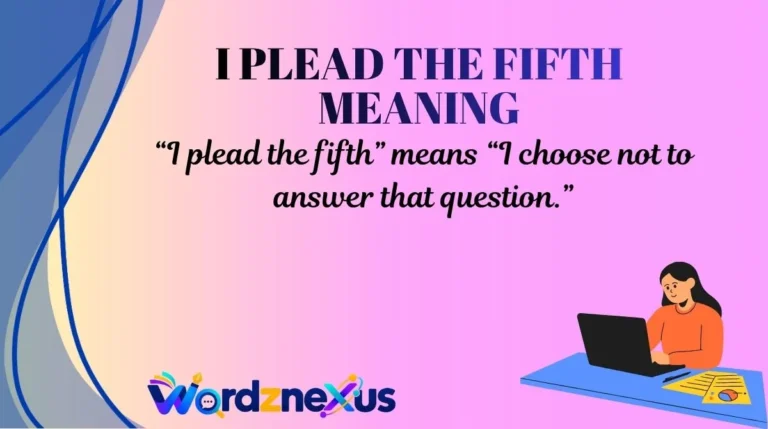 I Plead the Fifth Meaning