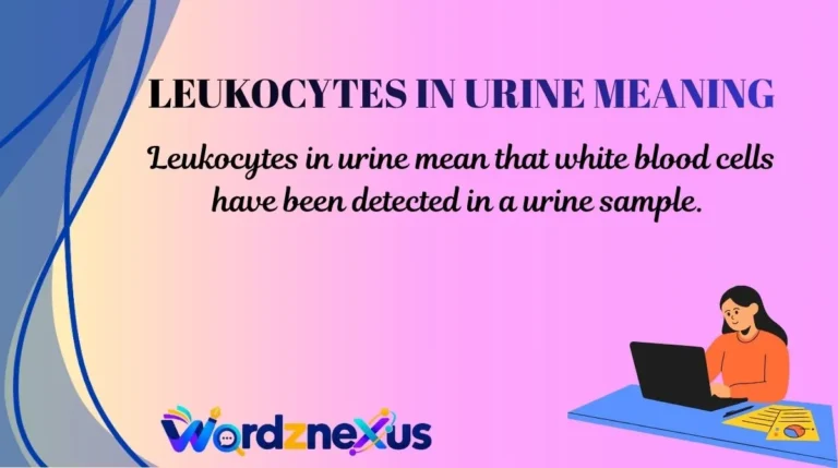 Leukocytes in Urine Meaning