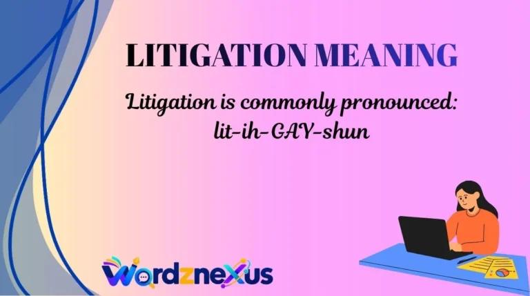 Litigation Meaning