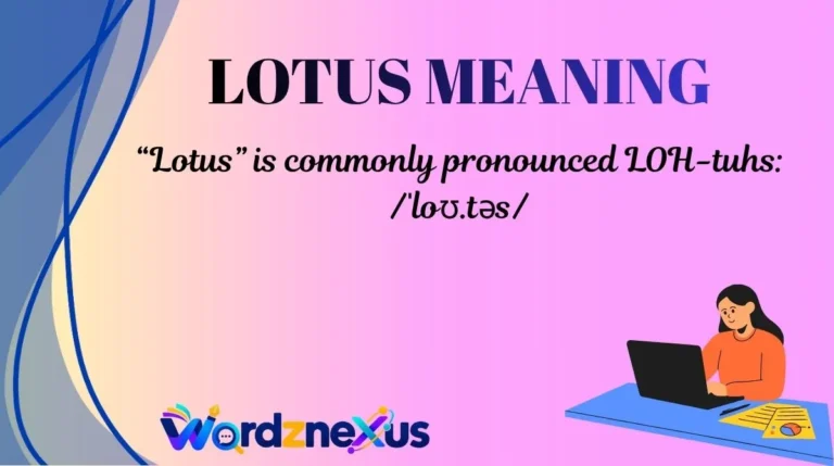 Lotus Meaning