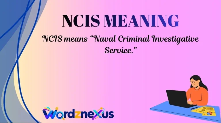 NCIS Meaning