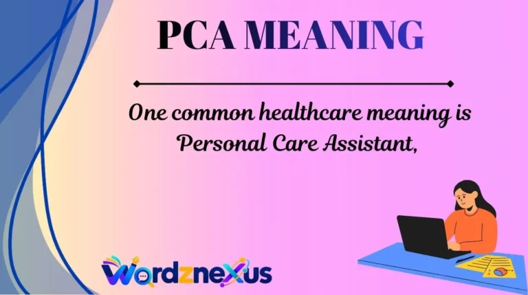 PCA Meaning