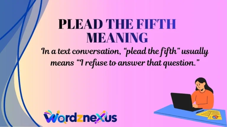 Plead the Fifth Meaning