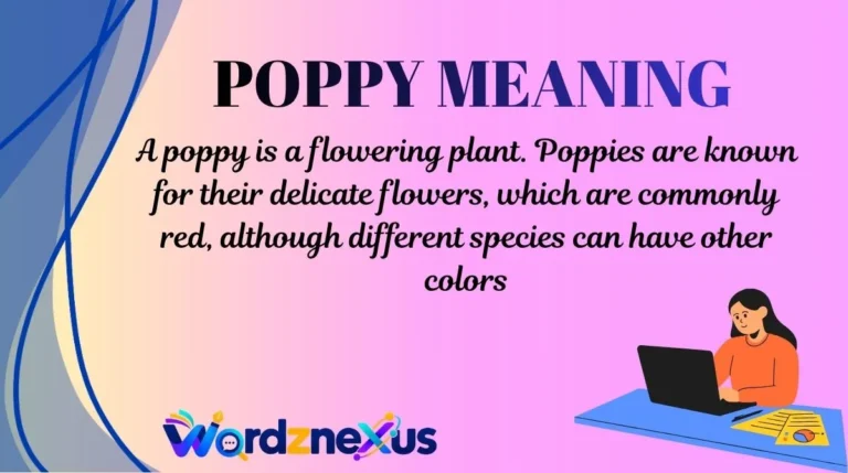 Poppy MeaningPoppy Meaning