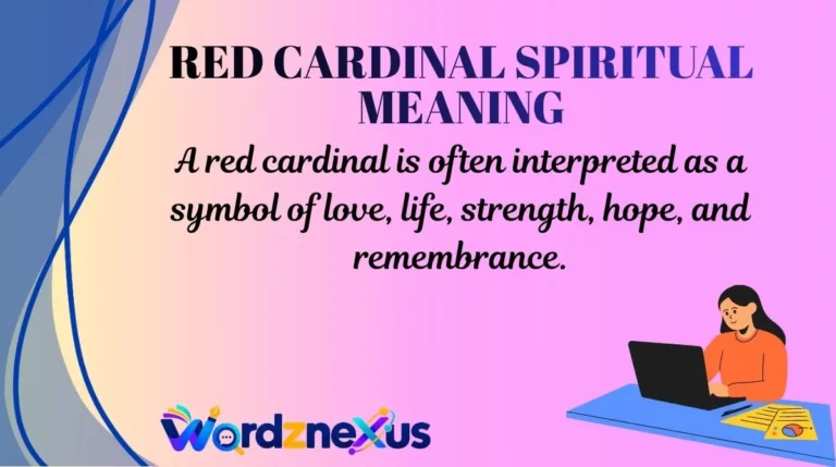 Red Cardinal Spiritual Meaning