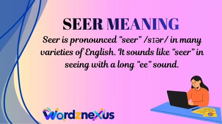 Seer MeaningSeer Meaning