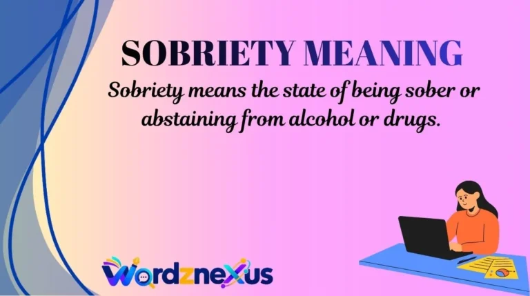Sobriety Meaning