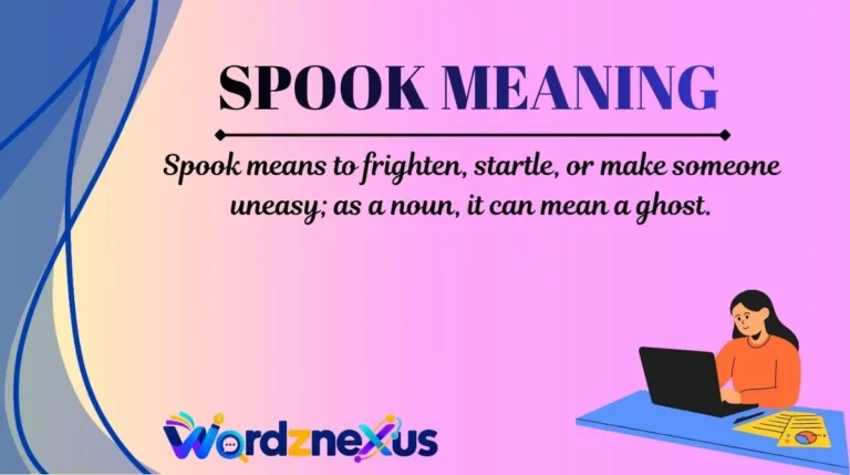 Spook Meaning