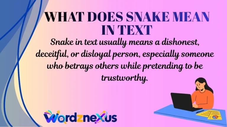 What Does Snake Mean in Text