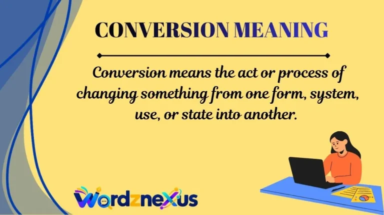 Conversion Meaning