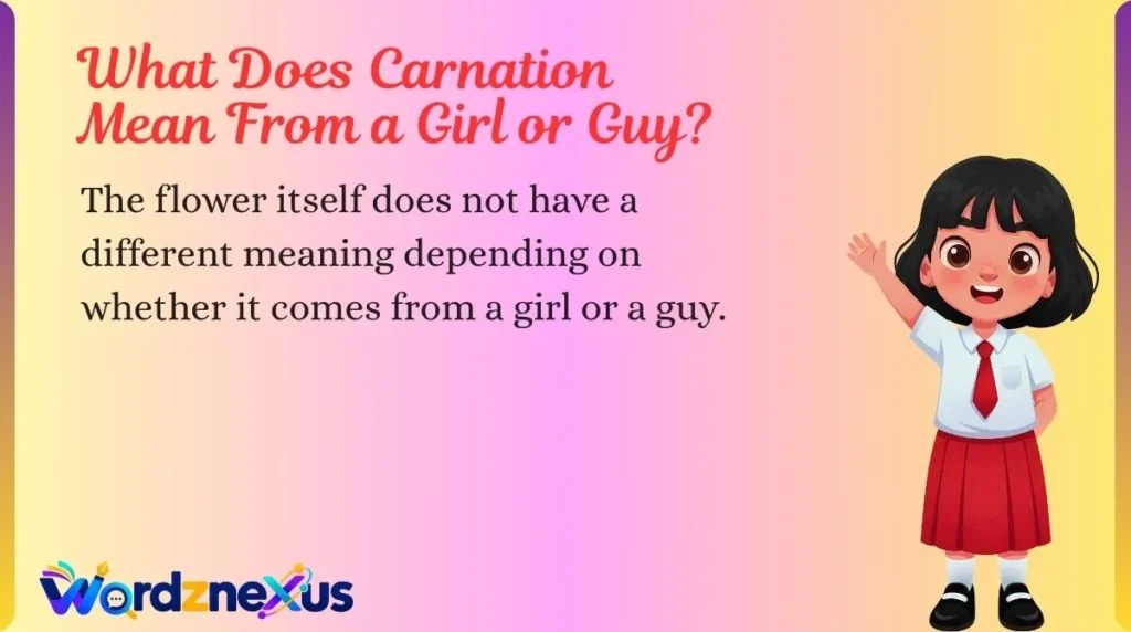 What Does Carnation Mean From a Girl or Guy?